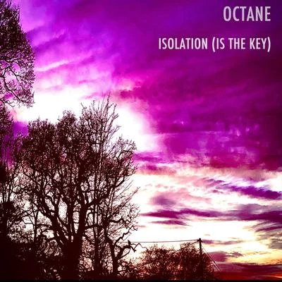 Isolation (Is The Key) 專輯 Octane/Shnabre/HOL!/Autokilla