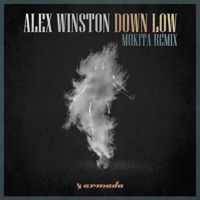 Down Low (Mokita Remix) 专辑 Alex Winston