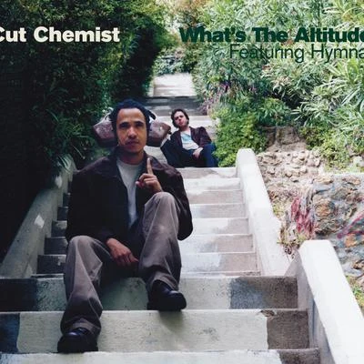 Whats The Altitude (feat. Hymnal) (DMD Maxi) 專輯 Cut Chemist