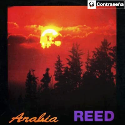 Reed Arabia