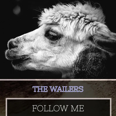 Follow Me 專輯 The Wailers