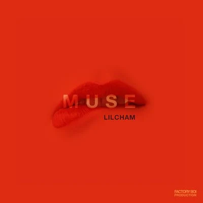 Muse 专辑 Lil Cham/Steve Wu/두스