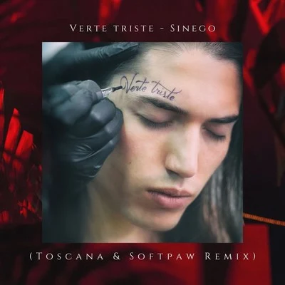 SinegoEgzodAdara Verte Triste (Toscana & Softpaw Remix)