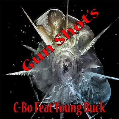 Gun Shots 專輯 C-Bo/Lil Tae/T Nutty/Key Loom/Celly Ru