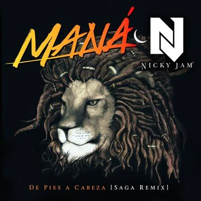 De Pies a Cabeza (Saga Remix) 專輯 Mana