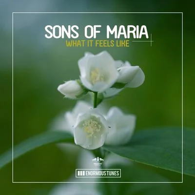 What It Feels Like 专辑 Sons Of Maria/Funkemotion/Tommy the Sound/jonse/Serge S