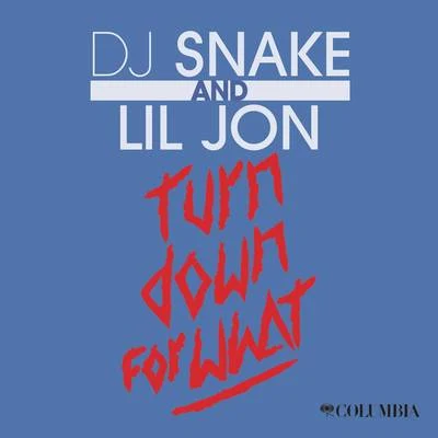 Turn Down for What 專輯 DJ Snake/Kayzo/Lauv