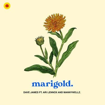 Marigold 专辑 Foggieraw/Dave James