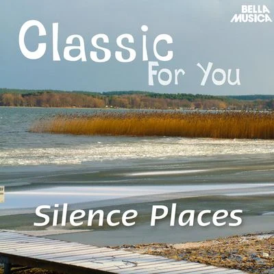 Suddeutsche PhilharmonieHanspeter Gmur Classic for You: Silence Places