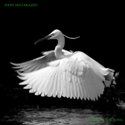 Bird on the Wing 專輯 John Matarazzo