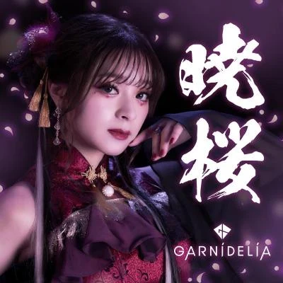 暁桜 专辑 GARNiDELiA