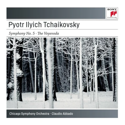 Tchaikovsky: Symphony No. 5 in E Minor, Op. 64; The Voyevode, Op. 78 專輯 Chicago Symphony Orchestra/Daniel Barenboim