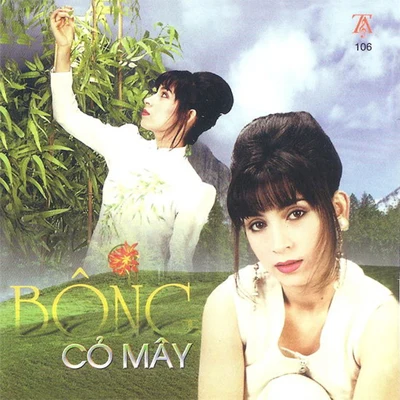 Bông Cỏ May 專輯 Thái Châu