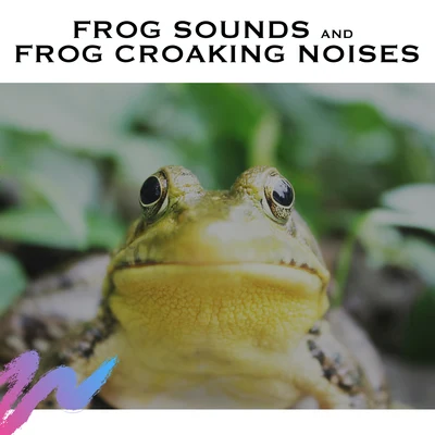 Frog Sounds and Frog Croaking Noises 專輯 Ambient Nature White Noise/Ambient Forest/Natural Sounds