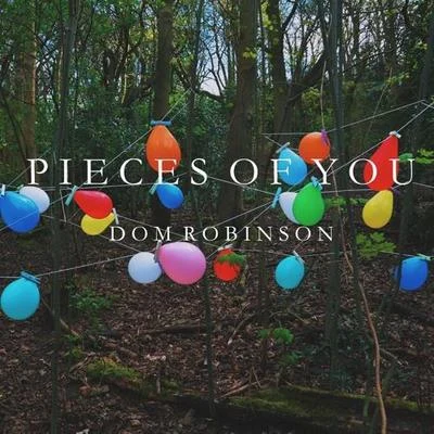 Pieces of You 專輯 Sander W/Preben/Dom Robinson/Diviners/Sandh