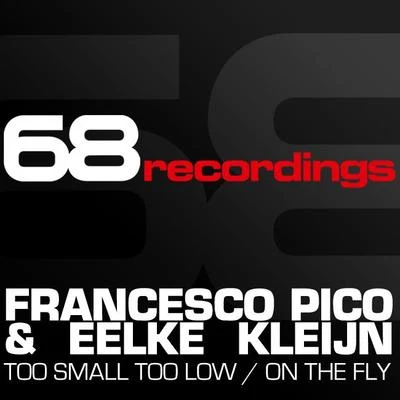 Too Small Too LowOn the Fly 專輯 FRANCESCO PICO