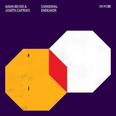 Adam Beyer Congenial Endeavor