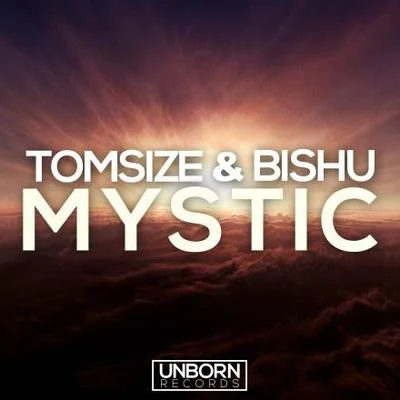 Mystic (Original Mix) 专辑 Tomsize/C.Z./G Buck/Lady Bee/Big Makk