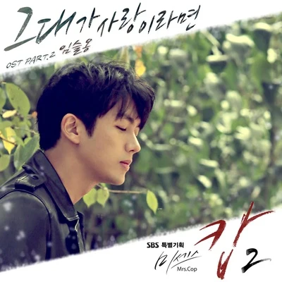 미세스캅2 OST Part.2 專輯 任瑟雍