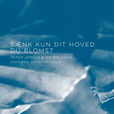 Sænk kun dit hoved du blomst 專輯 DR Big Band