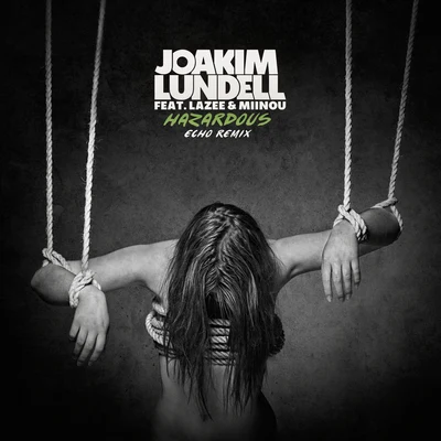 Hazardous (Echo Remix) 专辑 Joakim Lundell