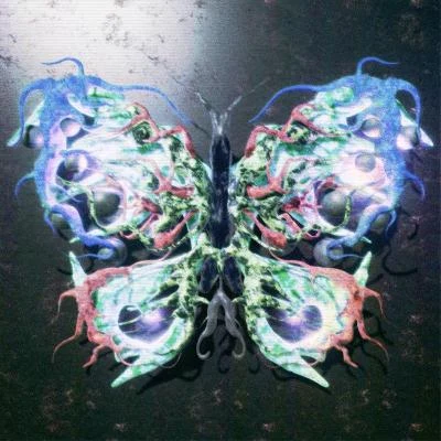 Tuesday Butterfly 專輯 LITE/Beatcore