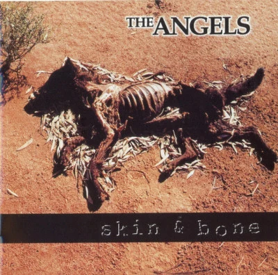 The Angels Skin And Bone