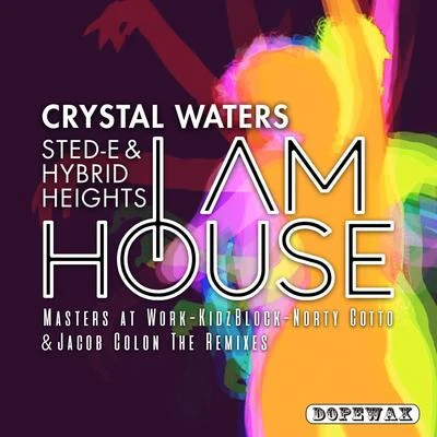 I Am House (The Remixes) 专辑 Crystal Waters/DJ Spen