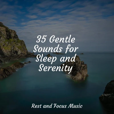 35 Gentle Sounds for Sleep and Serenity 專輯 Kinderlieder-Superstar/Mindfulness Mediation World/ASMR Rain Sounds