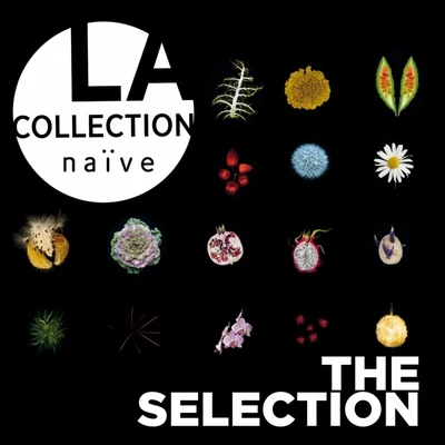 La collection naïve: The Selection 專輯 Emmanuel Balssa/Hidemi Suzuki/Pierre Hantaï/François Fernandez/Philippe Pierlot