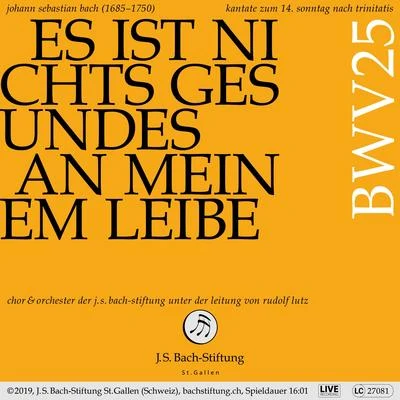 Bachkantate, BWV 25 - Es ist nichts Gesundes an meinem Leibe 专辑 Rudolf Lutz/Chor der J.S. Bach-Stiftung/Johann Sebastian Bach/Alex Potter