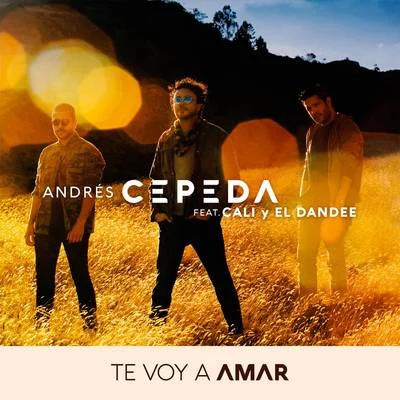 Te Voy a Amar 專輯 Andrés Cepeda