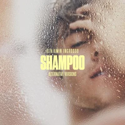 Shampoo (Alternative Versions) 专辑 Benjamin Ingrosso/FELIX SANDMAN