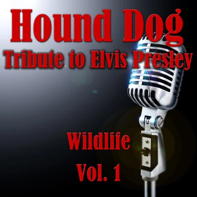 Hound Dog- Tribute to Elvis Presley, Vol. 1 專輯 Wildlife/Various Arists/Sergey Sivenenko/Cj RcM/RD Project