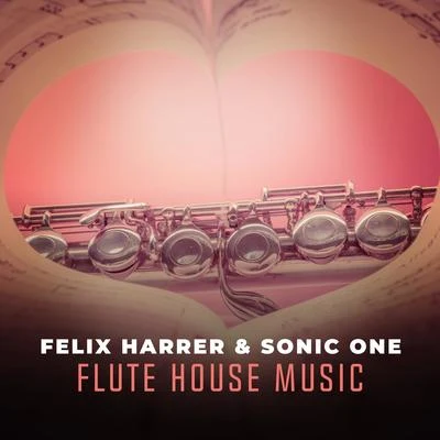 Felix HarrerSunny MarleenJay Frog Flute House Music