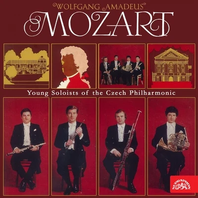 Young Soloists of the Czech Philharmonic 專輯 Zdeněk Tylšar/Czech Philharmonic/Václav Neumann