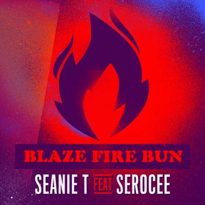 Seanie T Blaze Fire Bun