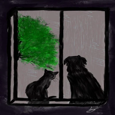 Raining Cats & Dogs 專輯 Josh Taylor