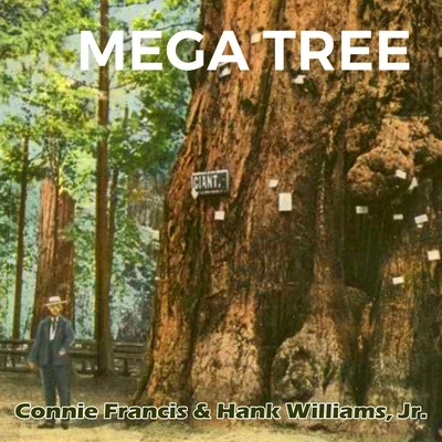 Mega Tree 專輯 Connie Francis & Hank Williams