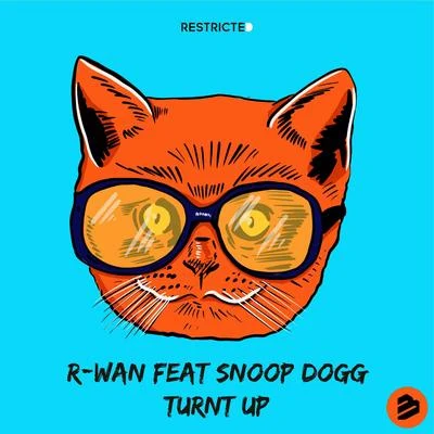 Turnt Up 专辑 Shaydee/DJ R-Wan