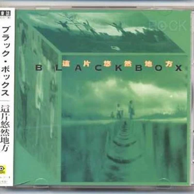 这片悠然地方 专辑 Black Box (HK)/Odyssey (Odyssey组合)/D-Train/Nu Shooz/Sister Sledge