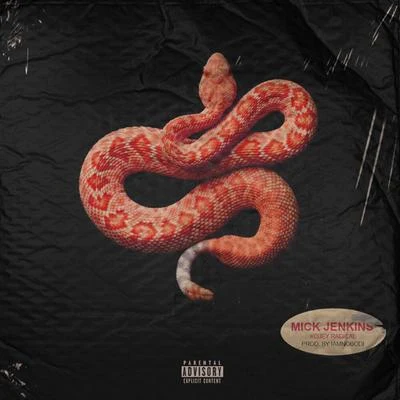 Snakes (Studio) 專輯 Nate Husser/Mick Jenkins