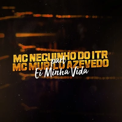 Ei Minha Vida 專輯 Mc Neguinho do ITR/Mc Fabinho Osk/DJ Alex BNH/Mc MR Bim