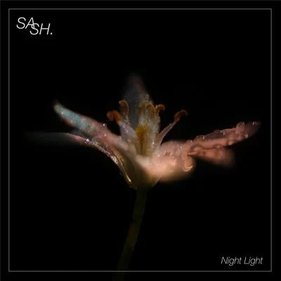 Night Light 专辑 Sash