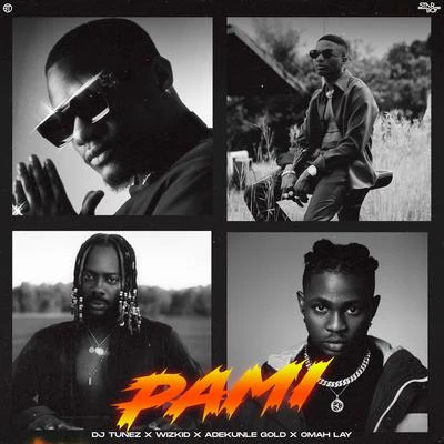 PAMI (feat. Wizkid, Adekunle Gold & Omah Lay) 专辑 Dj Tunez/D3AN