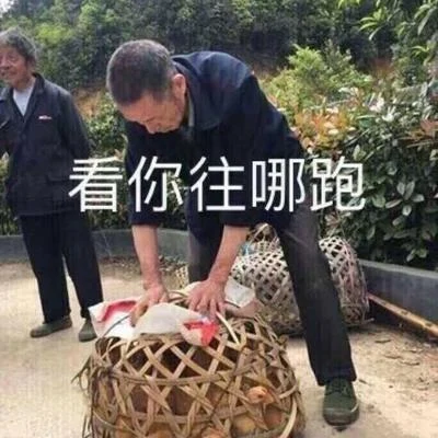 哦漏 不知道什么东西