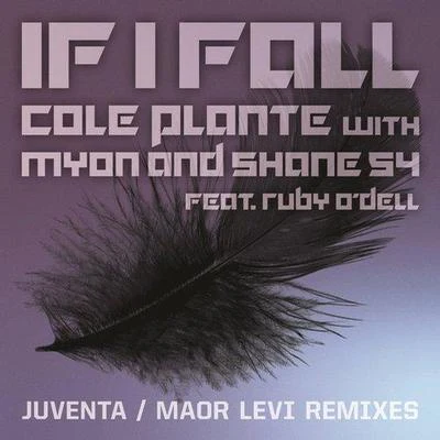 If I Fall (Remixes) 專輯 my on & Shane 54