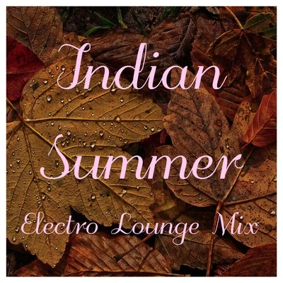 Indian Summer Electro Lounge Mix 專輯 Chill Out 2017