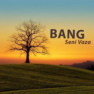 Seni Vaza 专辑 Bang/Medusa/Bullet/pip/Crow