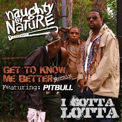 Get To Know Me BetterI Gotta Lotta 专辑 Naughty by Nature